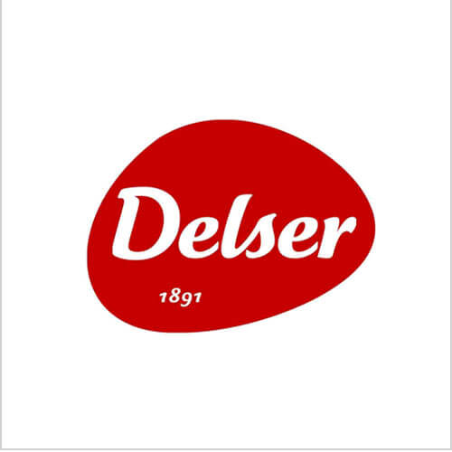 Logo Delser